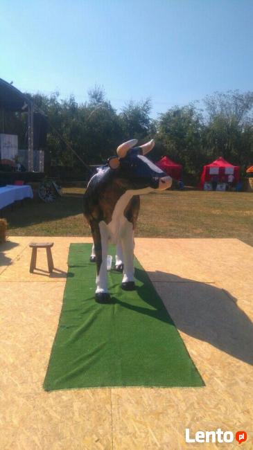 Sztuczna krowa do dojenia DIONIZOS.INFO festyn event Wynajem