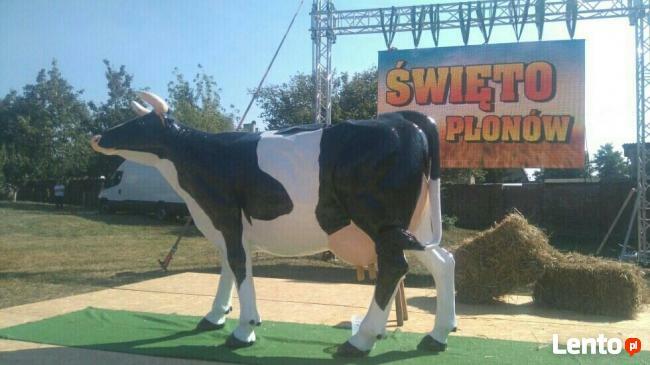 Sztuczna krowa do dojenia DIONIZOS.INFO festyn event Wynajem