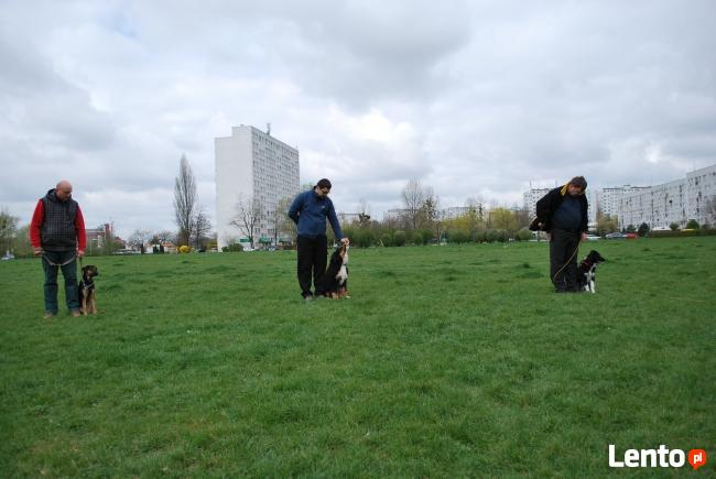 Grupowy kurs posłuszeństwa - Dobrzykowice