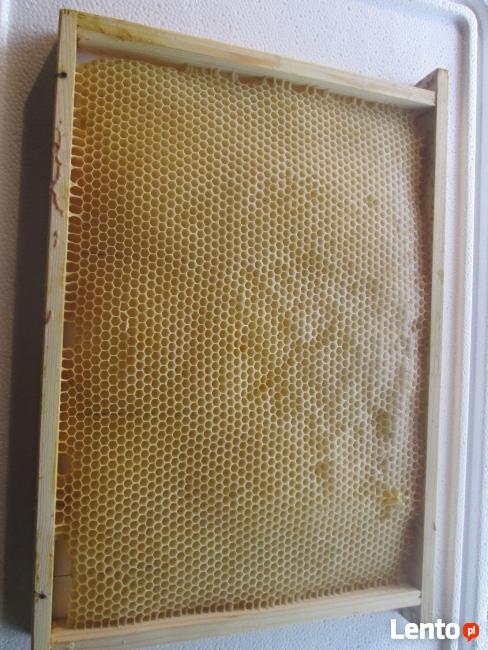 Susz pszczeli – ramki pszczele odbudowane, ule, pasieka
