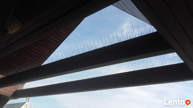 Kolce na ptaki, kolce przeciw gołębiom, antyptaki