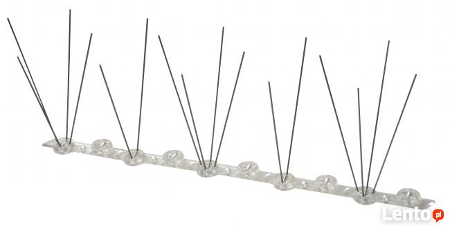 Kolce na ptaki, kolce przeciw gołębiom, antyptaki