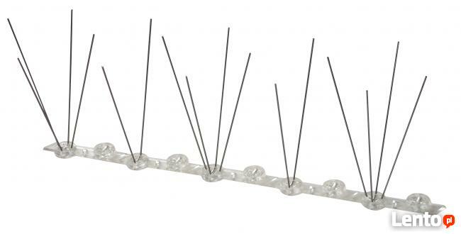 Kolce na ptaki, kolce przeciw gołębiom, antyptaki, druty