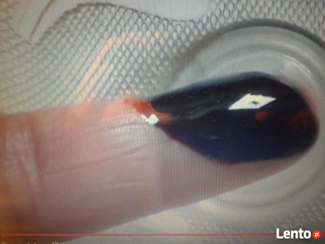 Mumio Żywe (pierwotne)