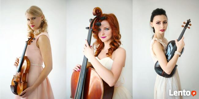 Wigilia firmowa, koncert kolęd - kwartet smyczkowy, trio