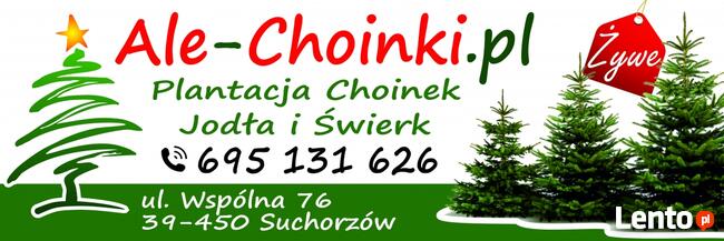 Choinka jodła kaukaska świerk srebrny, choinki promocja hurt