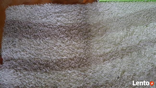 Pranie dywanów, tapicerki samochodowej i meblowej