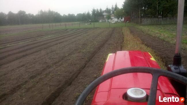 Usługi mini traktorkiem z glebogryzarka, Zakładanie ogrodów