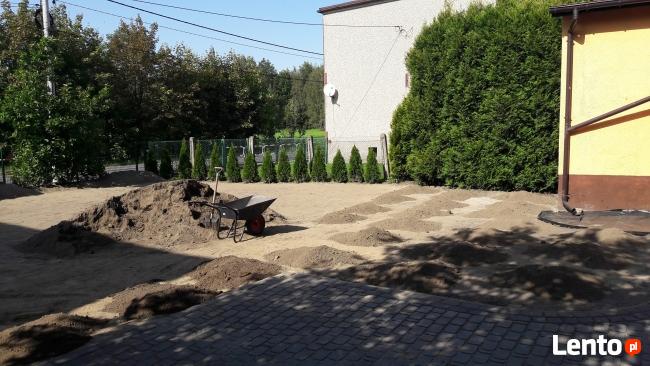 Wyrównanie terenu, Trawnik z siewu i rolki. OGRODNIK