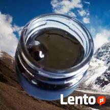 Mumio żywe(pierwotne)