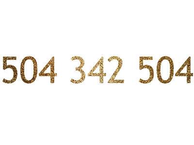 504 342 504 Złoty numer Orange