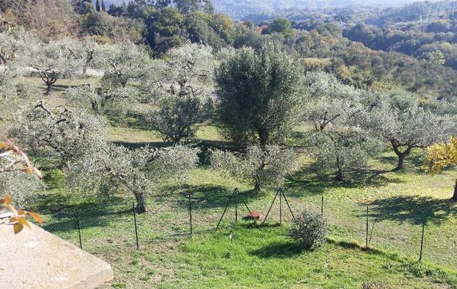 We Włoszech, w pobliżu Rzymu i jeziora Bracciano znajduje si