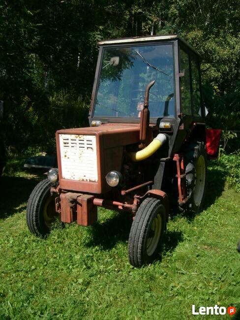 Skup samochodów, busów, aut osobowych, minikoparek