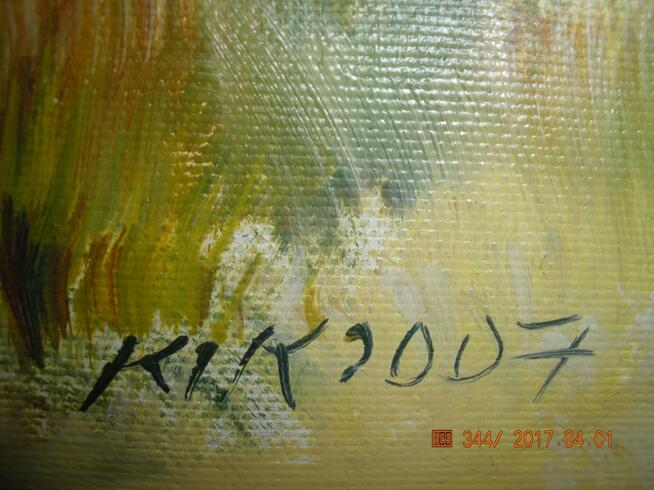 Kolekcaja jasnych pejzaży