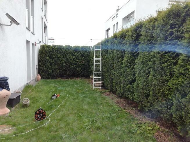 Przycinanie drzew i krzewów, odwodnienie ogrodu trawnik