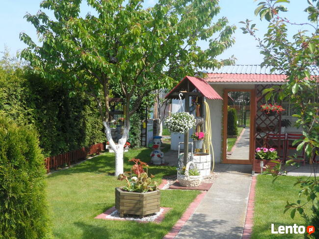 Przycinanie drzew i krzewów, odwodnienie ogrodu trawnik