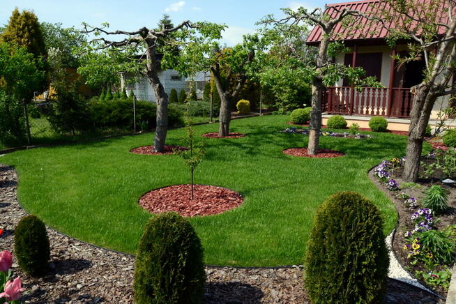 Przycinanie drzew i krzewów, odwodnienie ogrodu trawnik