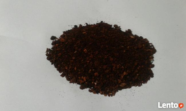 Sprzedam hubę brzozy, czaga