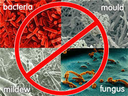 Trwała powłoka dezynfekująca powierzchnię przez 12 miesięcy.