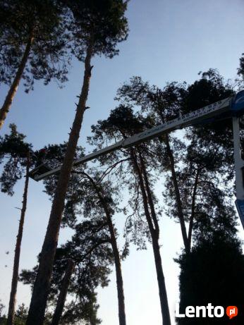 Wycinka drzew, usługi podnośnikiem koszowym, zwyżka