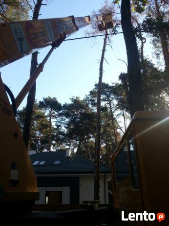 Wycinka drzew, usługi podnośnikiem koszowym, zwyżka