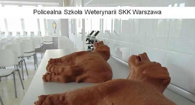 SKK Policealna Szkoła Weterynarii – 2 lata