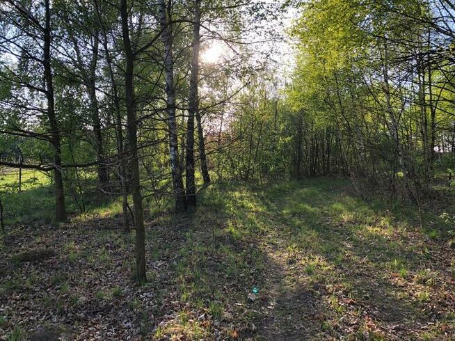 Piękna działka budowlana 6600 m² k.Częstochowy