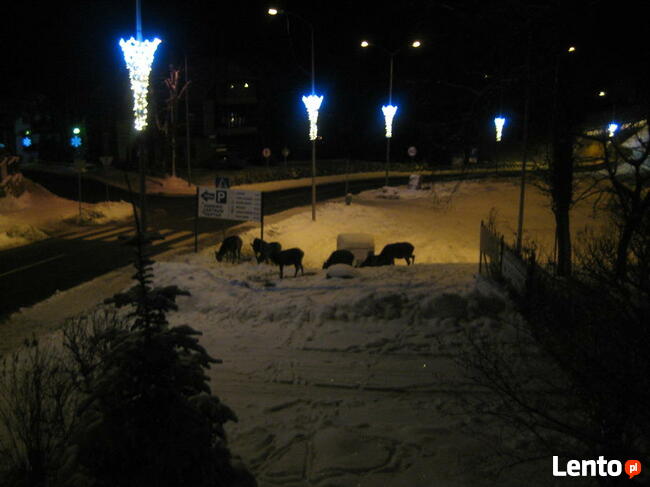 Noclegi Karpacz Willa Park Karpacz Centrum