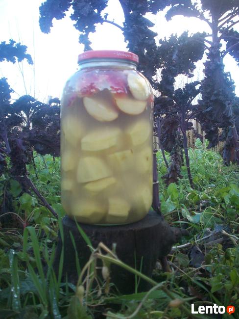 Kiszone jabłka z ziemniakami