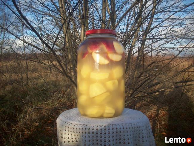 Kiszone jabłka z ziemniakami