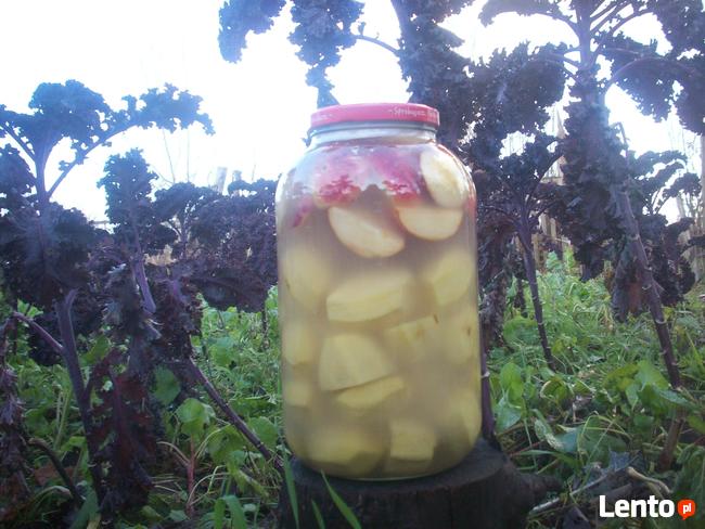 Kiszone jabłka z ziemniakami