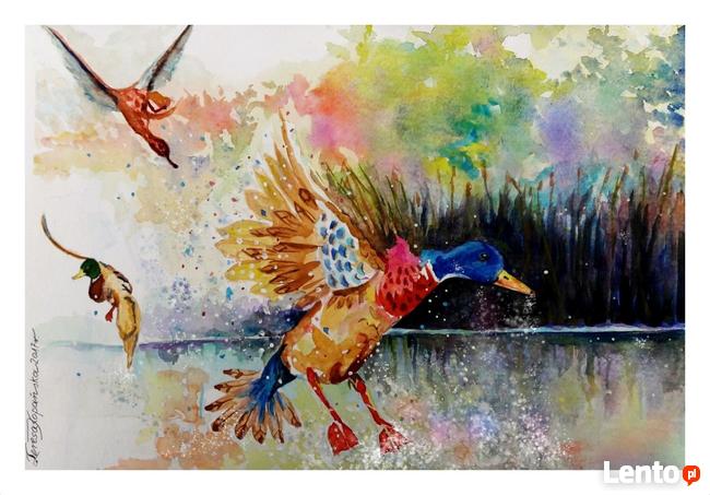 Na sprzedaż - Akwarele