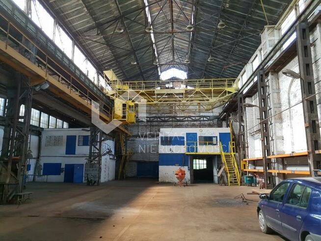 Lokal użytkowy Ruda Śląska