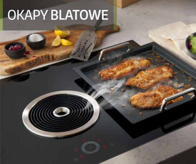 Naprawa Pieców Vaillant Junkers Buderus Neckar Demrad Mora