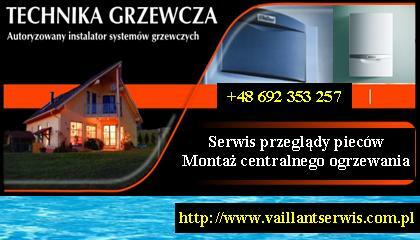 Naprawa Pieców Vaillant Junkers Buderus Neckar Demrad Mora