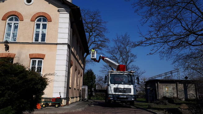 podnośnik koszowy, zwyżka, wysięgnik, wycinka drzew