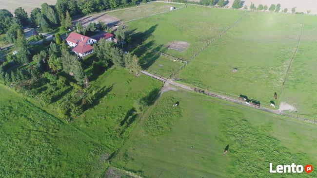 Obozy Konne dla dorosły, Obozy Jeżdzieckie, Domki Letniskowe