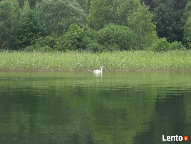 Domki z kominkami nad jeziorem - Kaszuby