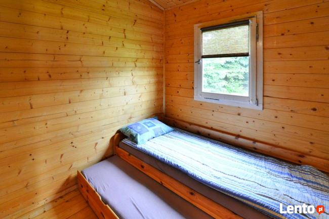 Obozy Konne dla dorosły, Obozy Jeżdzieckie, Domki Letniskowe