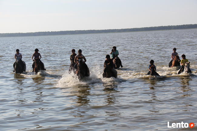 Obozy Konne dla dorosły, Obozy Jeżdzieckie, Domki Letniskowe