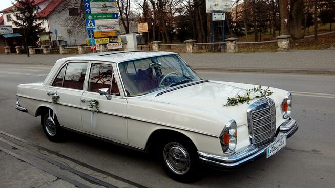 Flora Retro - dekoracje, florystyka, wypożyczalnia