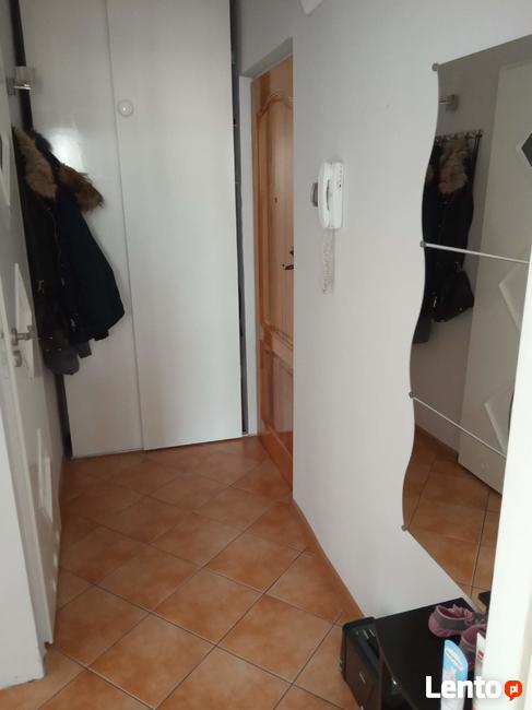 Wynajmę mieszkanie Centrum Rybnika umeblowane 37 m2 Rybnik n