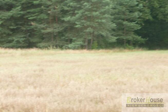 Działka rekreacyjna Masów gm. Łubniany