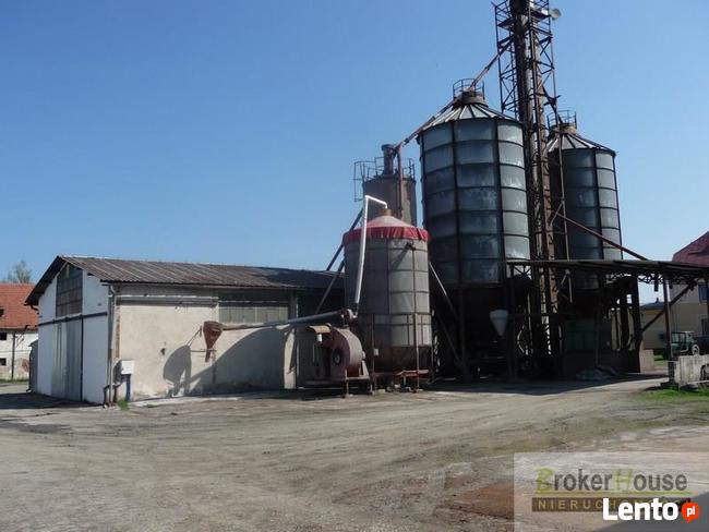 Lokal użytkowy Bielice gm. Łambinowice