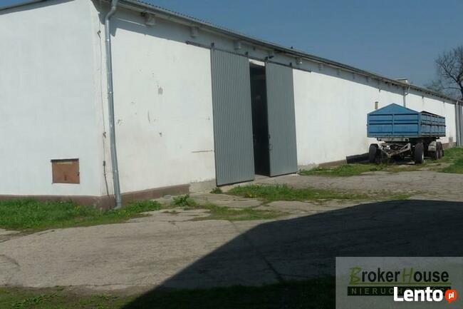 Lokal użytkowy Bielice gm. Łambinowice