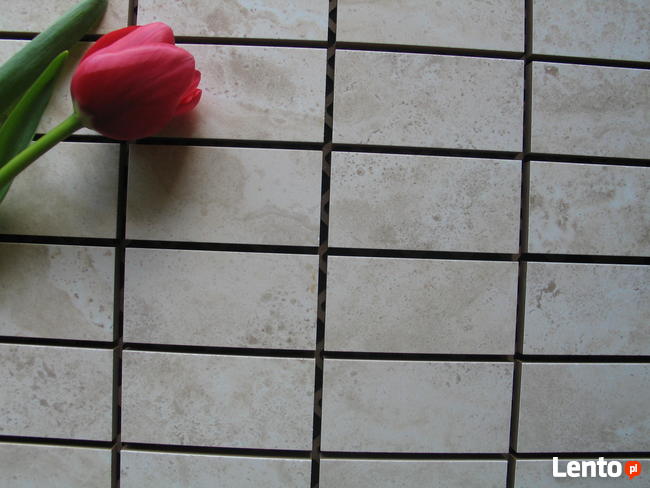 Mozaiki z glazura, terakota, gres płytki Dor-Dekor Opoczno