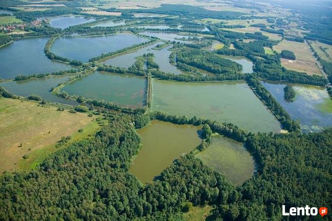 Ostoja Baryczy - piękne działki rekreacyjno-budowlane