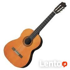 Gitary, skrzypce, ukulele, gitalele