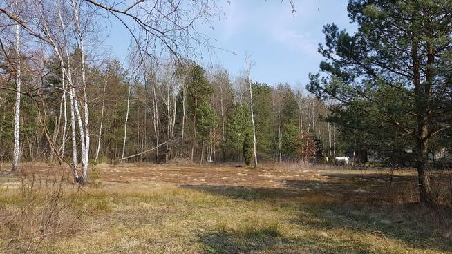 Działka budowlana Malcanów gm. Wiązowna, Podleśna