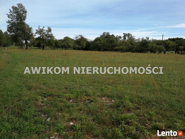 Działka usługowa Radziejowice
